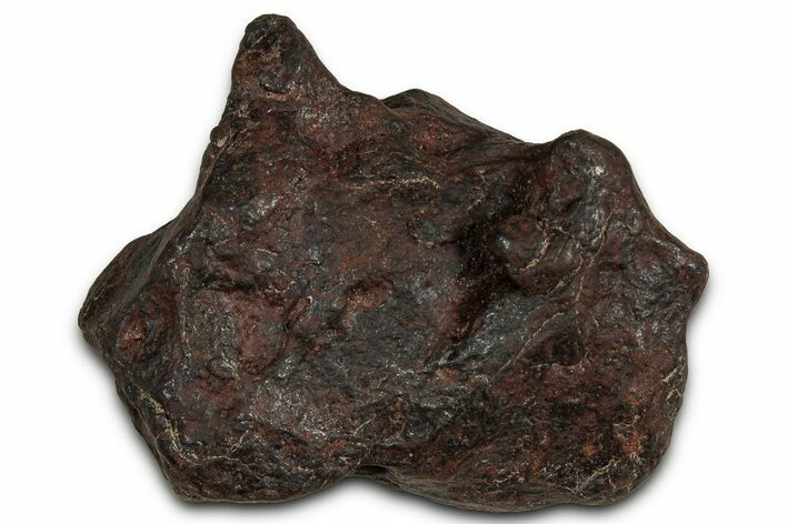 Canyon Diablo Iron Meteorite ( g) - Arizona #356012